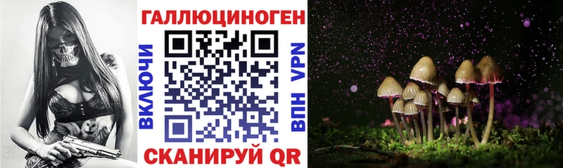 Галлюциногенные грибы Psilocybe  купить наркотики сайты  Орлов 
